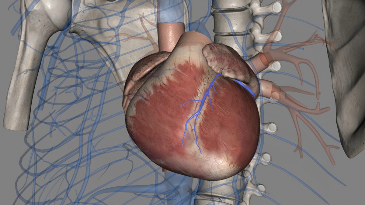 pediatric-cardiothoracic-surgery